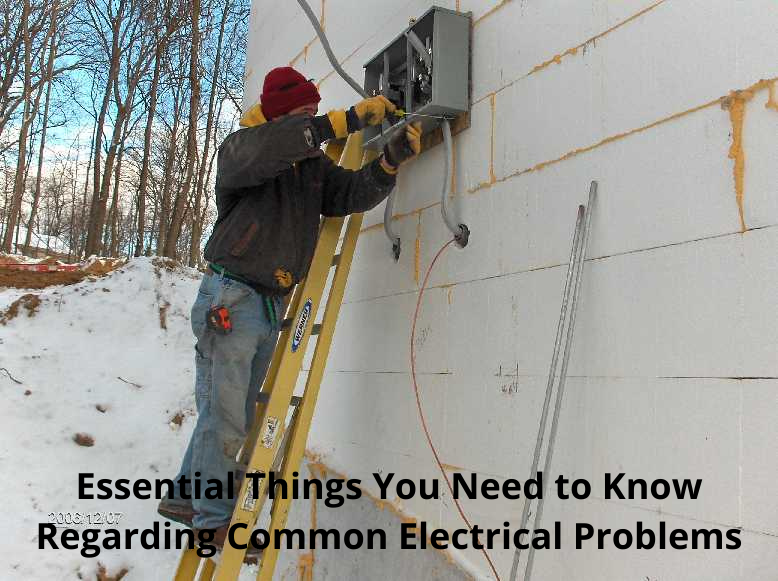 Essential Things You Need To Know Regarding Common